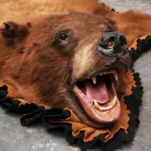 Alternative view of Buy Cinnamon Bear Rug