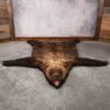 Grizzly Bear Rug – SKU 3173