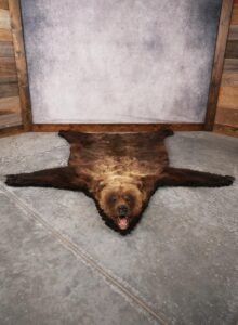 Grizzly Bear Rug – SKU 3173