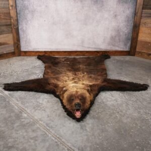 Grizzly Bear Rug – SKU 3173