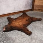 Cinnamon Black Bear Rug – SKU 3175