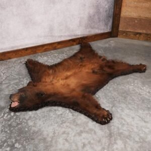 Cinnamon Black Bear Rug – SKU 3175
