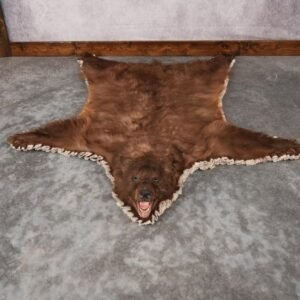 Cinnamon Black Bear Rug – SKU 2822