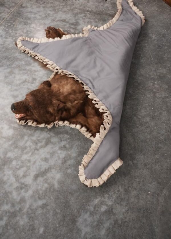 Bear Rug. Buy Cinnamon Bear Rug - The Radiant Amber Ridge SKU 2822