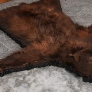 . Chocolate Black Bear Rug – SKU 2820