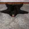 . Black Bear Rug – SKU 2815