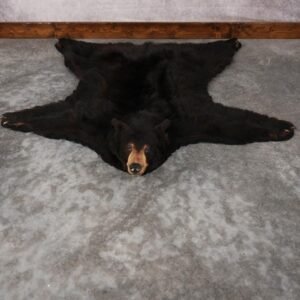 . Black Bear Rug – SKU 2815