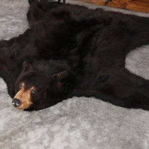 Black Bear Rug – SKU 2815