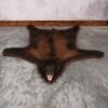 . Tri-Color Black Bear Rug – SKU 2817
