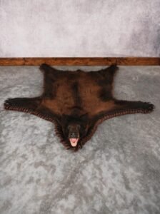 . Tri-Color Black Bear Rug – SKU 2817