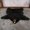 Large Black Bear