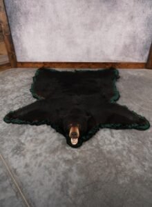 Large Black Bear