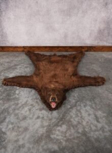 Cinnamon Black Bear Rug – SKU 2816