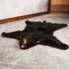 Black Bear Rug