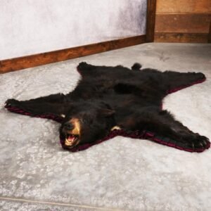 Black Bear Rug