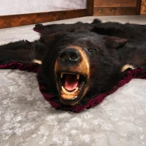 Black Bear Rug