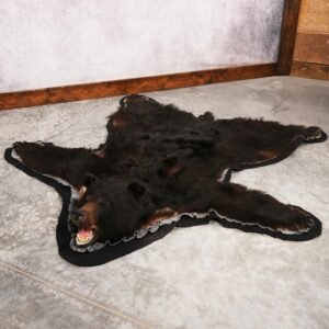 . Black Bear Rug – SKU 3289