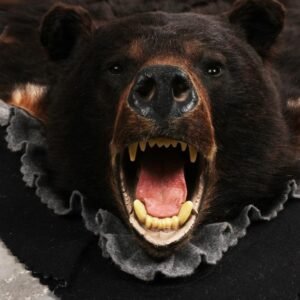. Black Bear Rug – SKU 3289