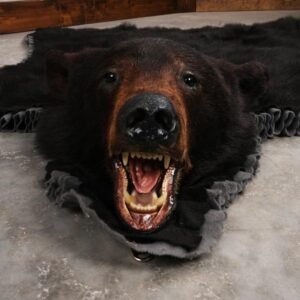 . Black Bear Rug – SKU 3290