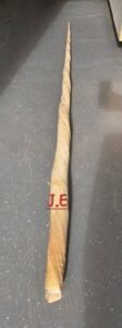 8ft Narwhal Tusk for sale
