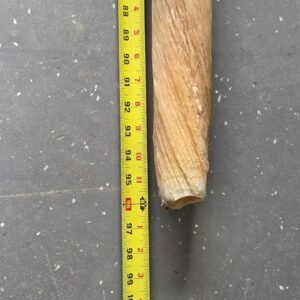8ft Narwhal Tusk for sale