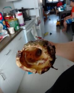 9ft Narwhal Tusk for sale