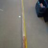 10ft Narwhal Tusk for sale