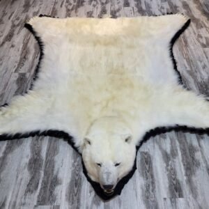 Alternative view of Buy Polar Bear Rug